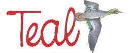 eBay Coupon