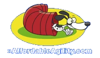 Affordable Agility