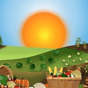 Windy Acres Farm