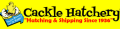 eBay Coupon