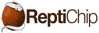 eBay Coupon