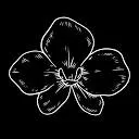 David Brown Flowers