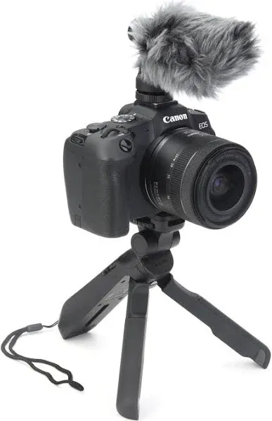 Canon EOS R8 Mirrorless Camera