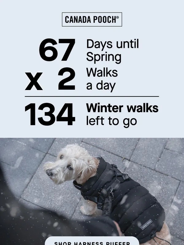 Canada Pooch - Bundle up! Winter walks are just getting started ❄️