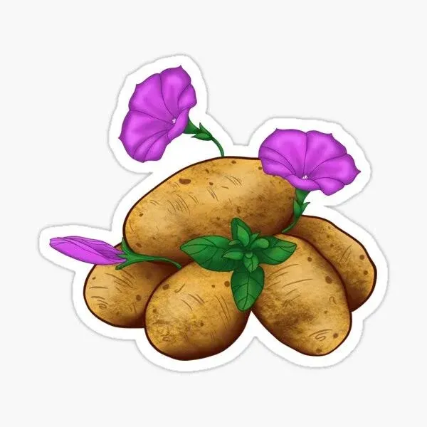 Potatoes Not Petunias!