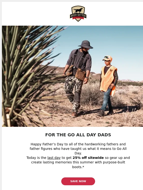 Irish Setter - Celebrate Dad: Last Day for 25% Off