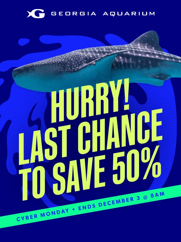 Georgia Aquarium - Last chance to save 50% on tickets—ends 12/03 at 8 AM!