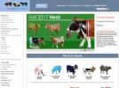 eBay Coupon