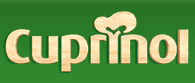 eBay Coupon