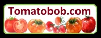 TomatoBob
