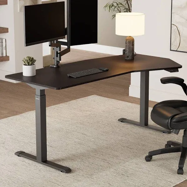 Eureka Ergonomic Unique Shape Office Standing Desk