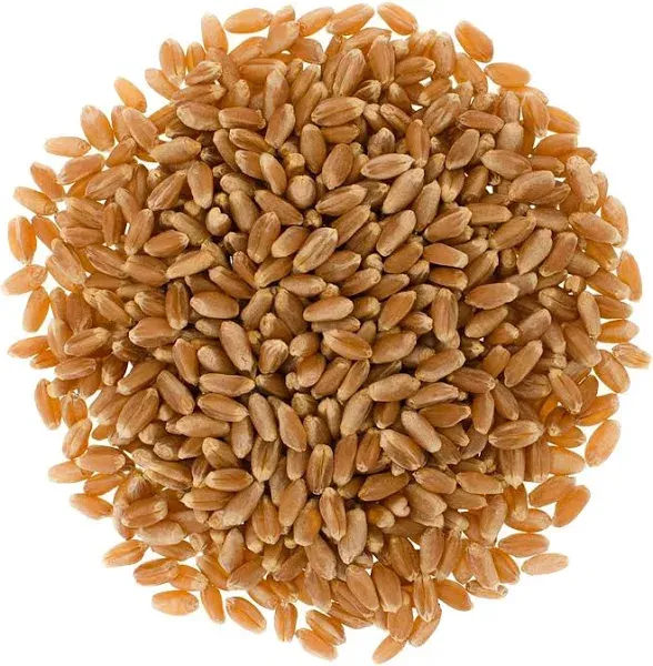 Mader Family Grown Hard Red Spring Wheat Berries