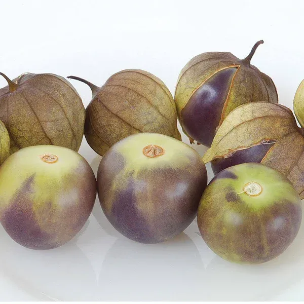 Tomatillo de Milpa Seeds