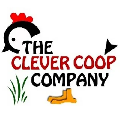 eBay Coupon