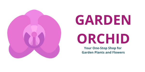 Garden Orchid
