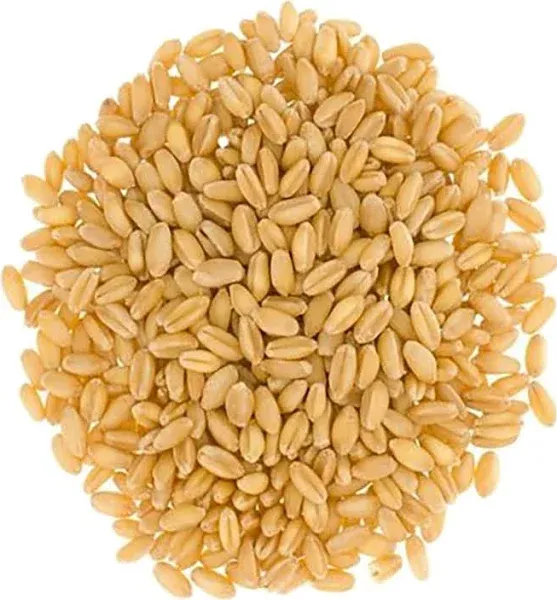 Palouse Brand Certified Glyphosate Residue Free Hard White Wheat Berries