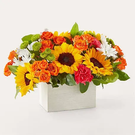 Proflowers Sun-Drenched Blooms Box Bouquet