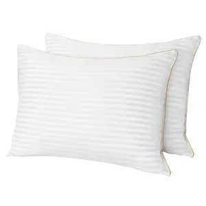 2pk Queen Plush Gel Pillows