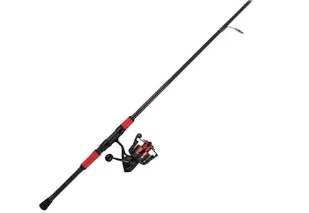 Penn Fierce III LE Spinning Rod and Reel Combo