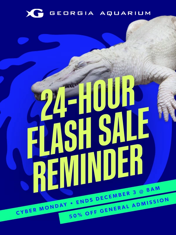 Georgia Aquarium - Time is running out: save 50% on Georgia Aquarium tickets today!