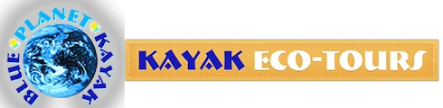 eBay Coupon