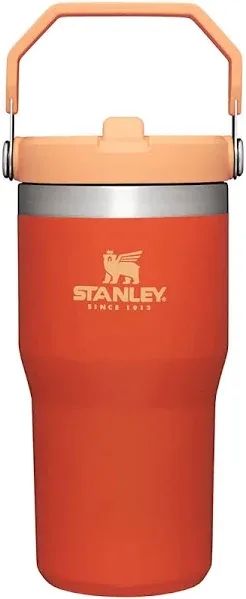 Stanley IceFlow Flip Straw Tumbler 20oz Tigerlily