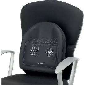 Fellowes Heat and Soothe Back Support