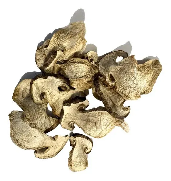Dried Wild Porcini