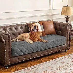 $6.99*: 70" x 30" Ameritrex Waterproof Pet Cover for Sofa (Dark Grey or Beige) at Amazon