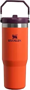 Stanley IceFlow Flip Straw Tumbler with Handle 30 oz | Twist On Lid and Flip Up Straw | Leak Resistant Water Bottle | Insulated Stainless Steel |BPA-Free | Tigerlily Plum