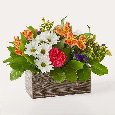 Proflowers Oopsie Daisy Box Bouquet