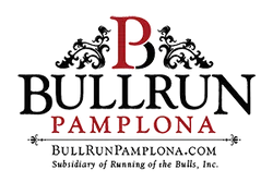 Bull Run Pamplona