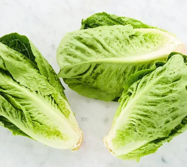 Lakeside Organic Gardens Organic Romaine Lettuce Trio