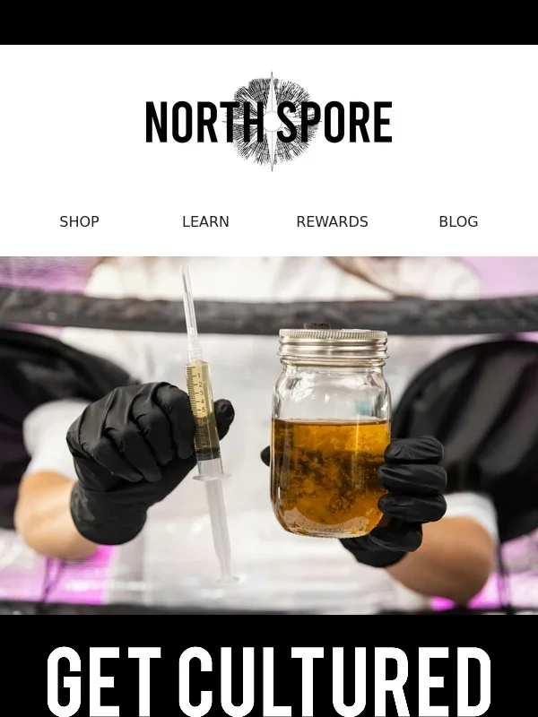 North Spore - SAVE 20% ? select cultures,sterile grain bags,& more!