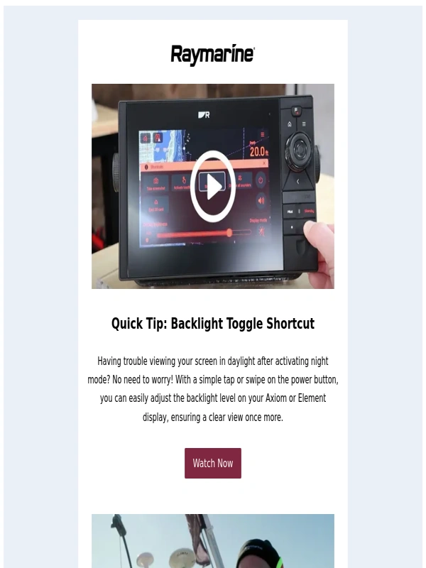 Raymarine - January Newsletter