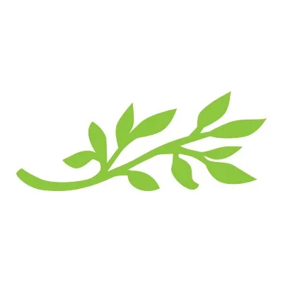 eBay Coupon