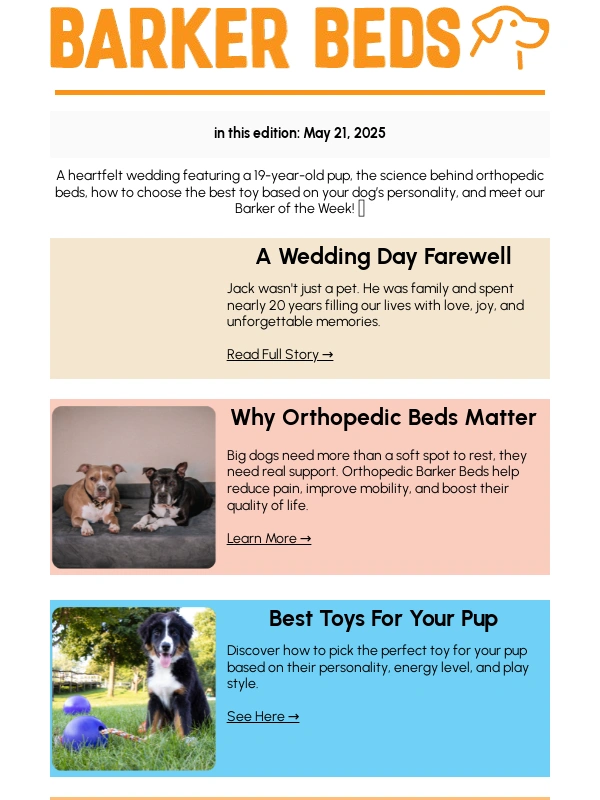 Big Barker - A Dog's Final Dance ?❤️