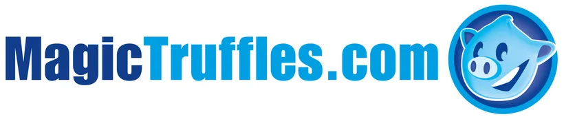 eBay Coupon
