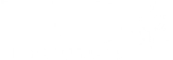 The Vacuum Doctor
