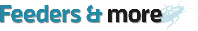 eBay Coupon