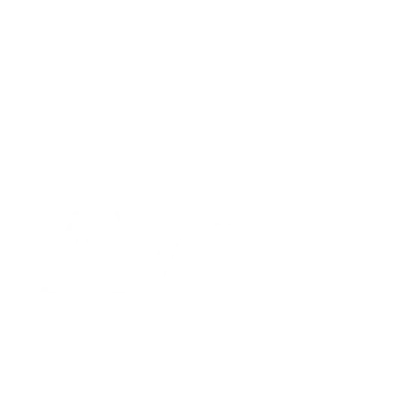 AVS Fencing