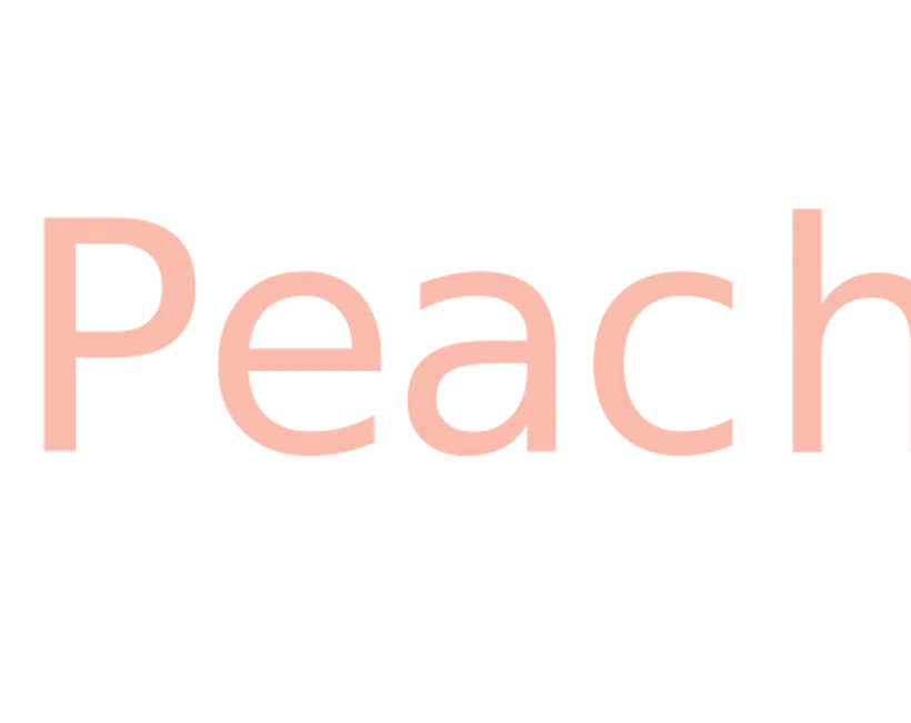eBay Coupon