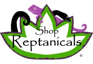 eBay Coupon