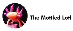 The Mottled Lotl