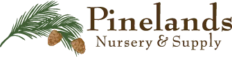 Pinelands Nursery