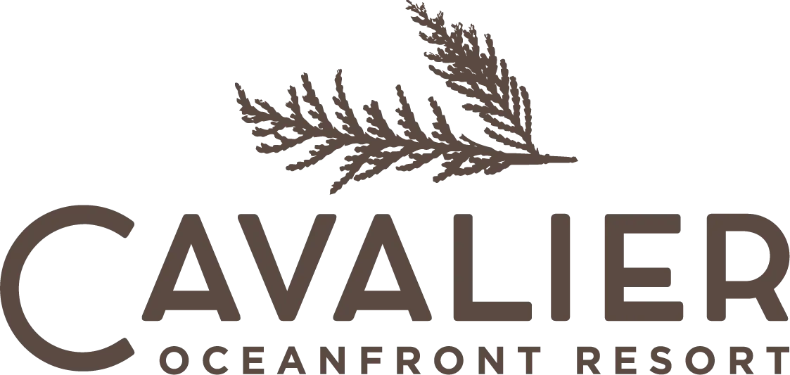 Cavalier Oceanfront Resort