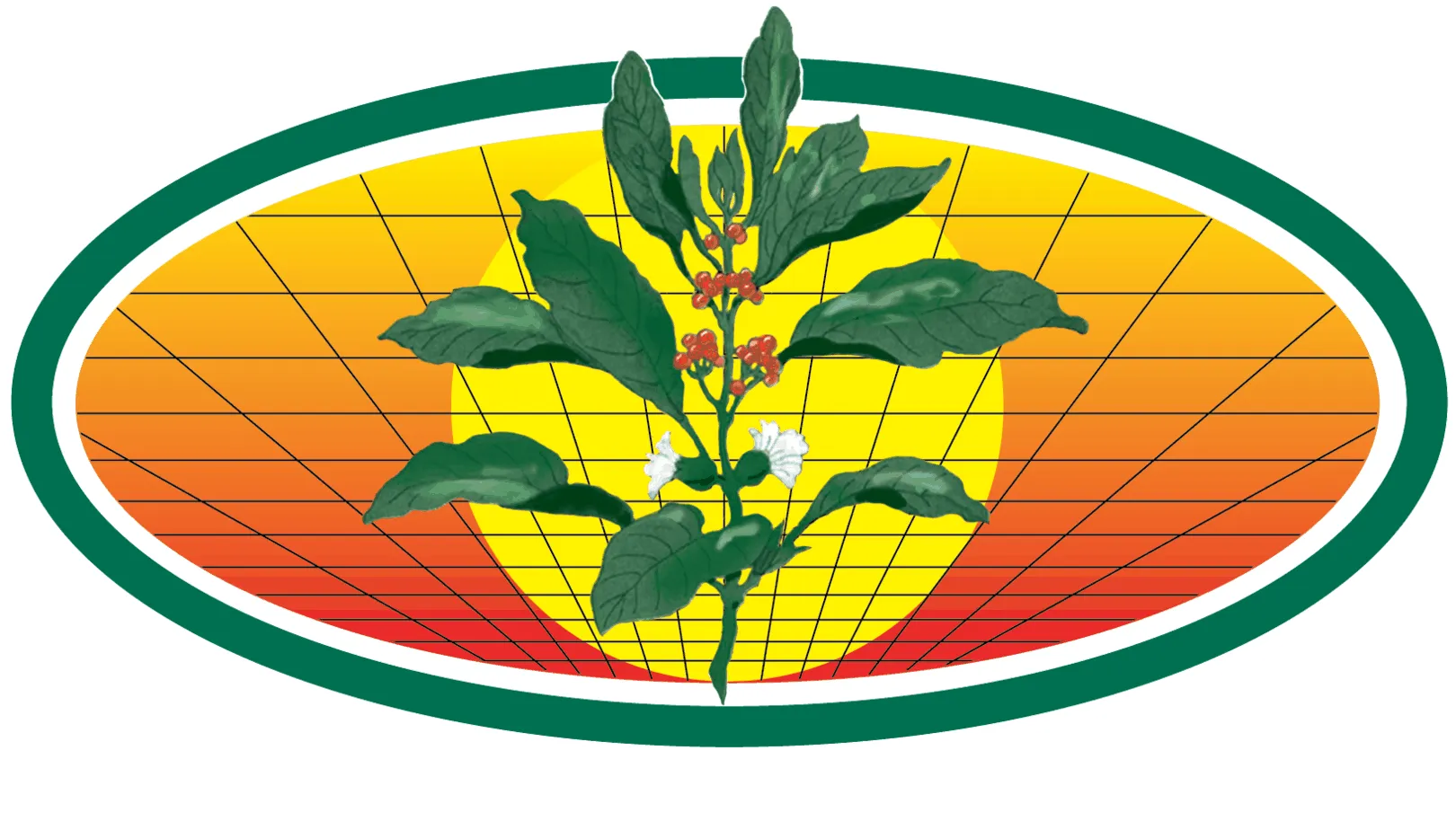 American Nettings
