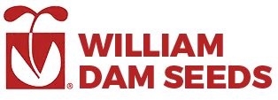 Dam Seeds