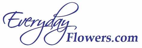 Everyday Flowers