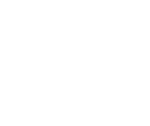Holiday Ham